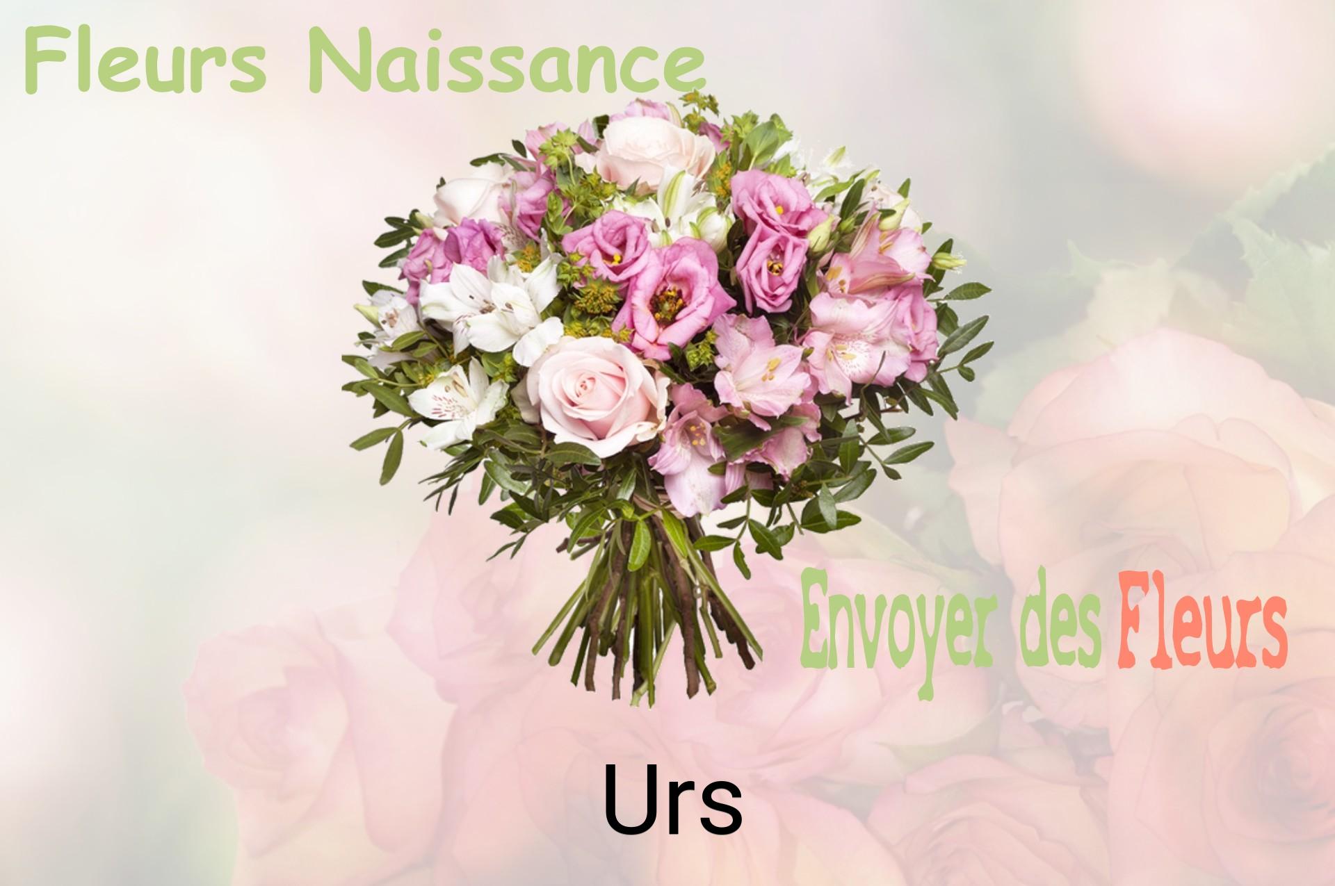 Bouquet de fleurs de naissance livré à Urs